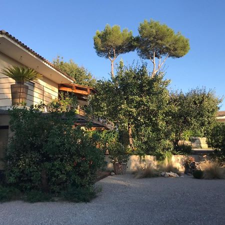 Villa L'Ensoleillee روكفور-لا-بين المظهر الخارجي الصورة